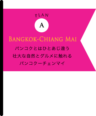 バンコクとはひとあじ違う 壮大な自然とグルメに触れる バンコクーチェンマイ