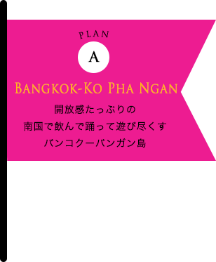 開放感たっぷりの 南国で飲んで踊って遊び尽くす バンコクーパンガン島