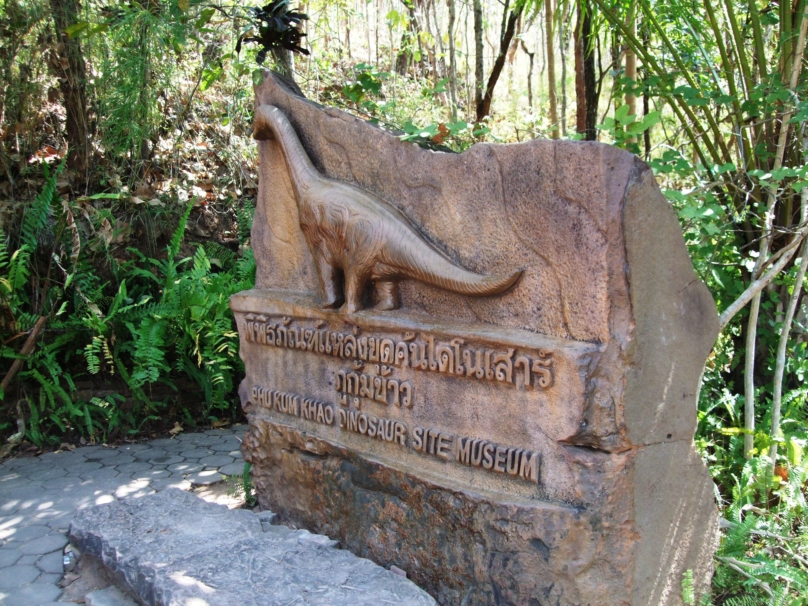 プー・クムカオの恐竜化石（シリントーン博物館）