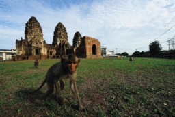 プラ・ナラーイラチャニウェート国立博物館