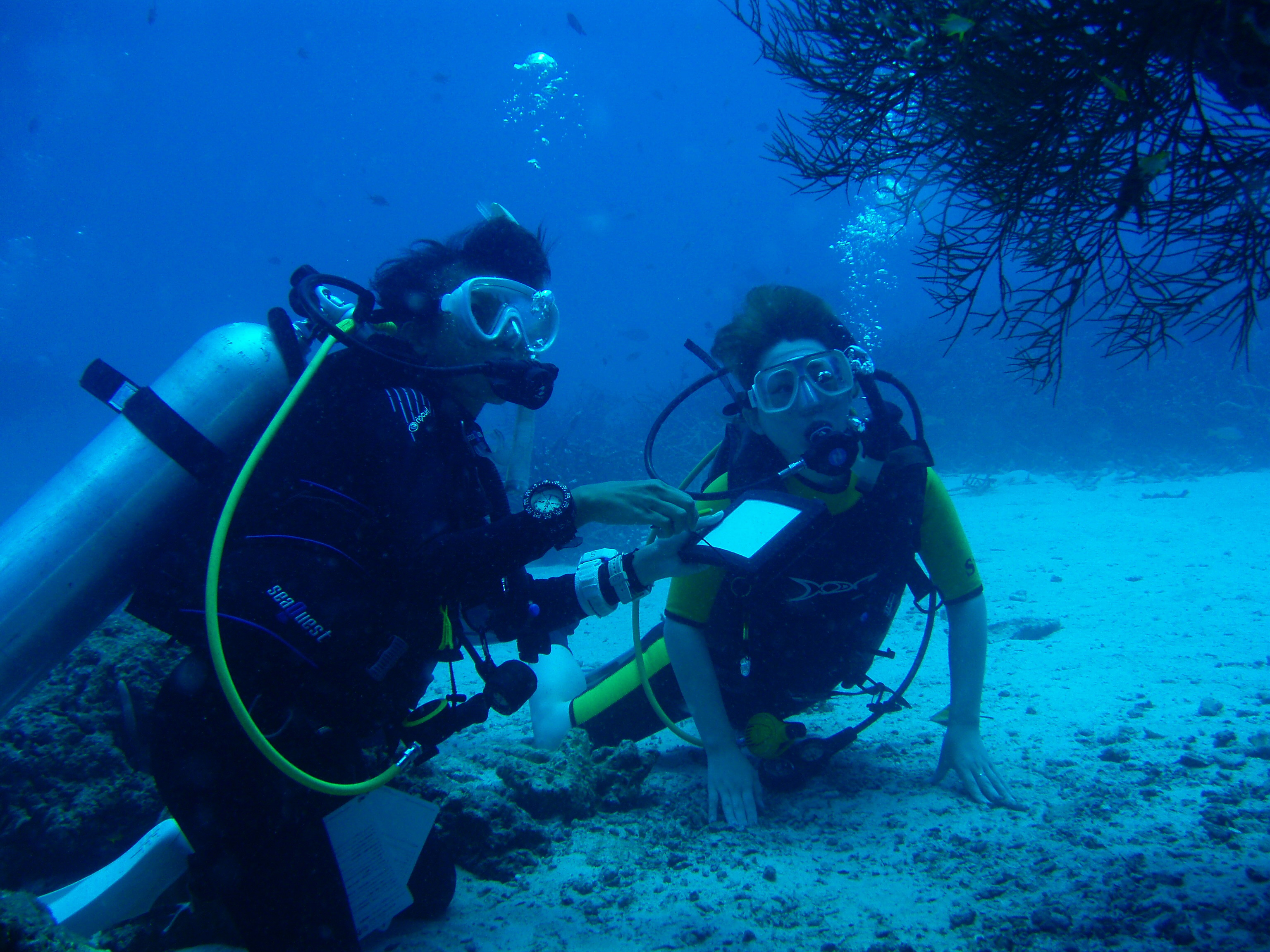 カタダイビングサービス 公式 タイ国政府観光庁