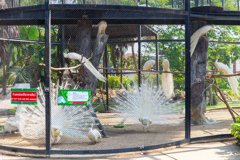 チャイナート・バード・パーク