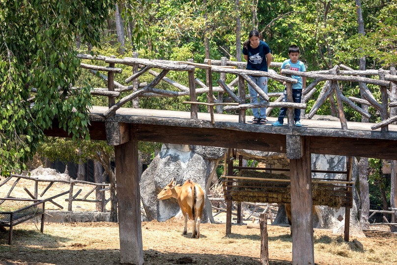 チェンマイ動物園&水族館