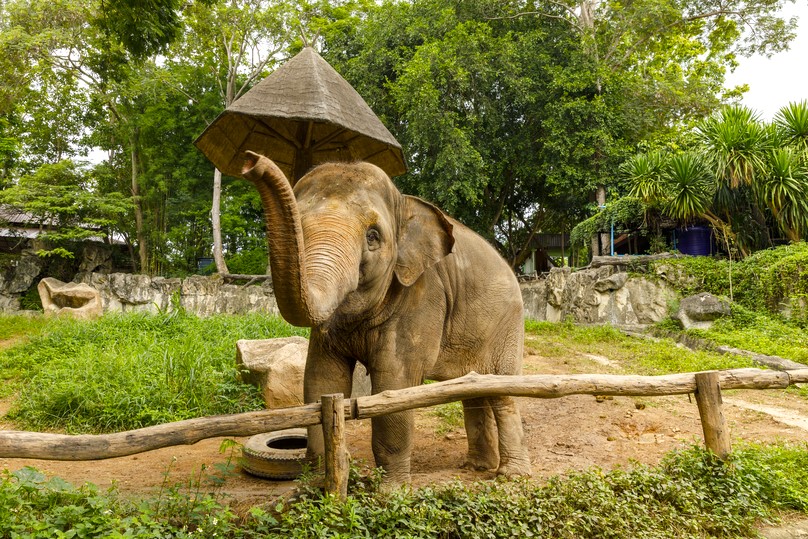 チェンマイ動物園＆水族館