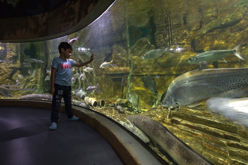 チェンマイ動物園＆水族館