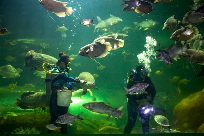 チェンマイ動物園＆水族館