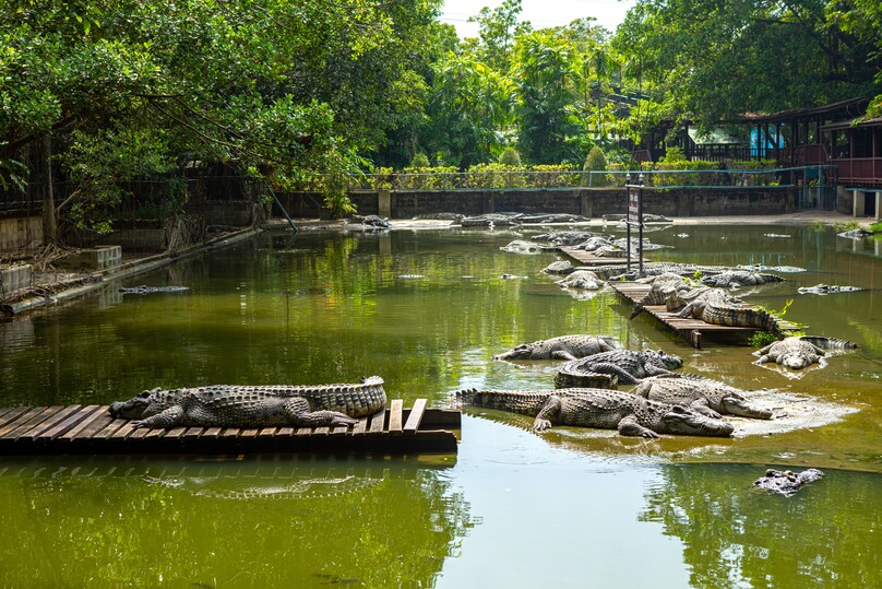 サンプラーン・エレファント・グランド&ズー