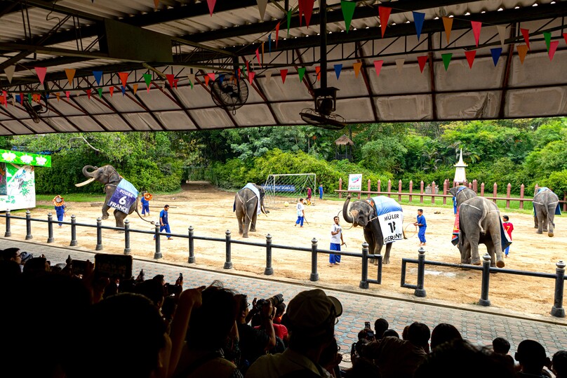 サンプラーン・エレファント・グランド&ズー