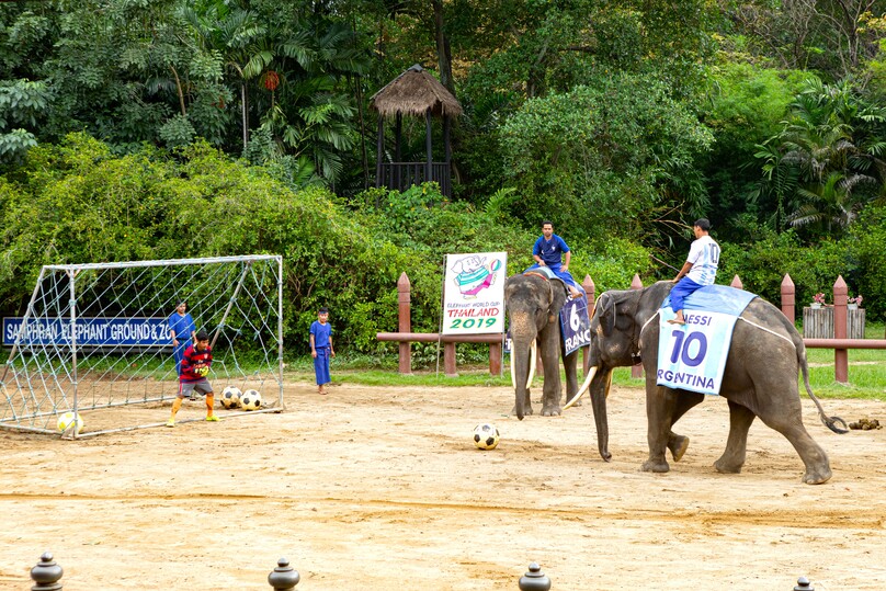 サンプラーン・エレファント・グランド&ズー