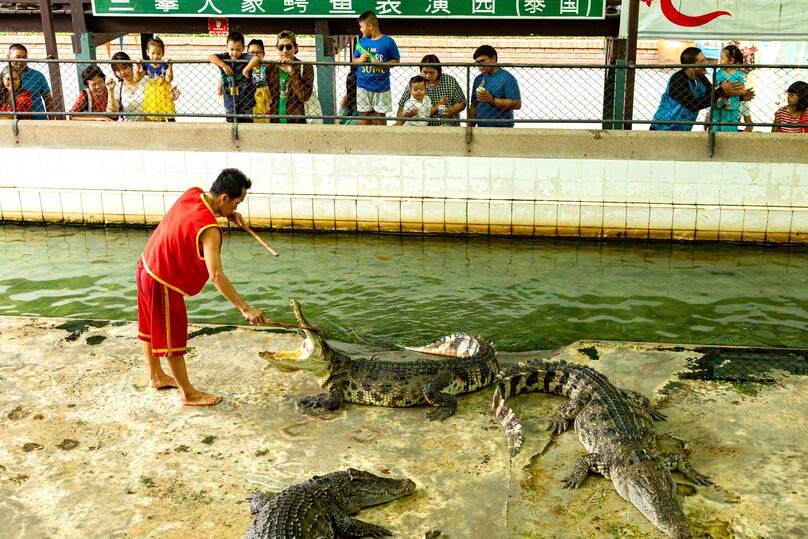 サンプラーン・エレファント・グランド&ズー