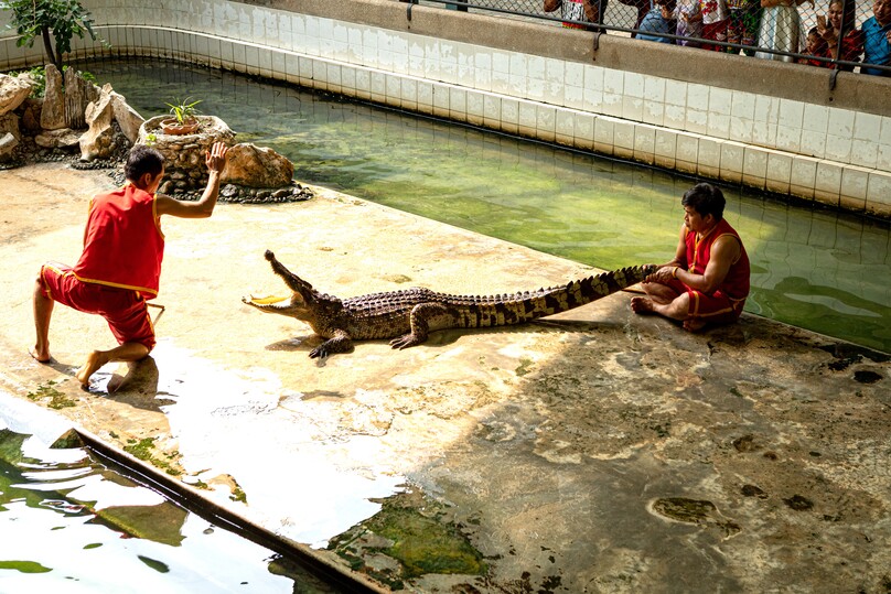 サンプラーン・エレファント・グランド&ズー