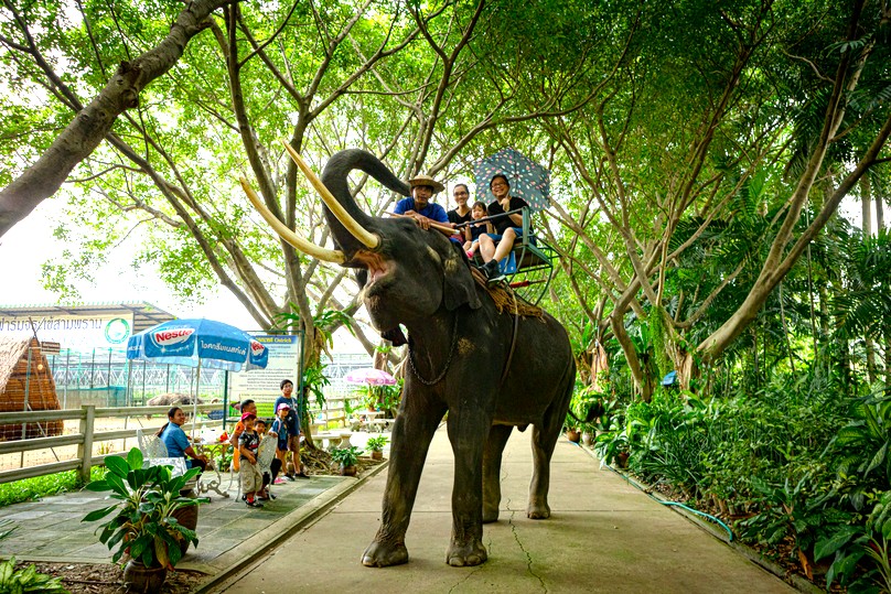 サンプラーン・エレファント・グランド&ズー