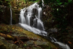 トンサイ滝＆カオプラテーオ自然保護区