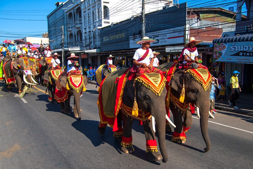 スリン･エレファント･ラウンドアップ･ショー（スリン象祭り）