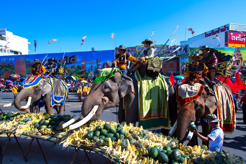スリン･エレファント･ラウンドアップ･ショー（スリン象祭り）