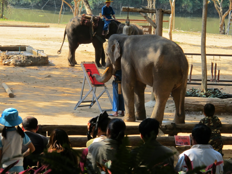 タイ象保護センター