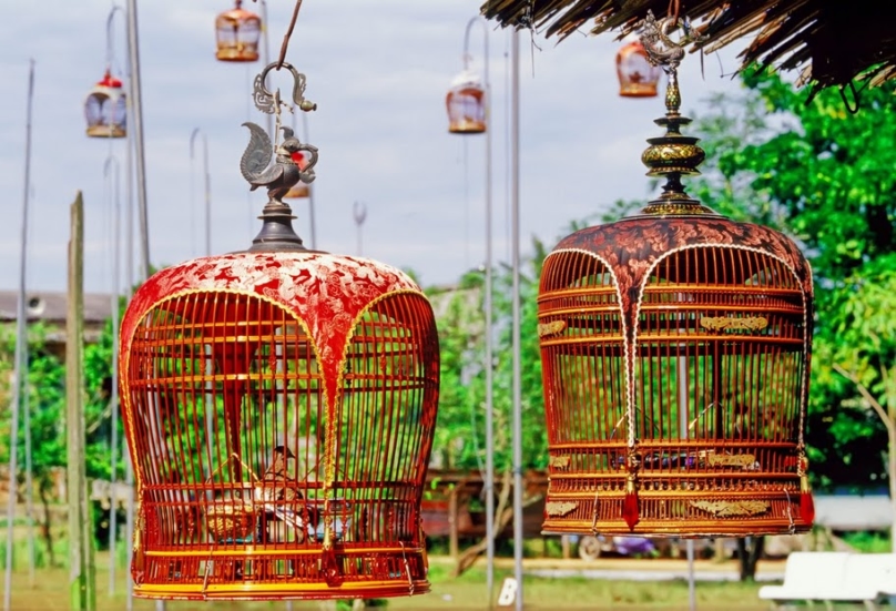 ASEANチョウショウバトの長鳴きコンテスト