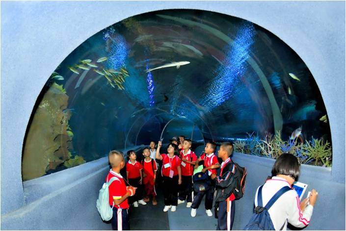 チェンマイ水族館