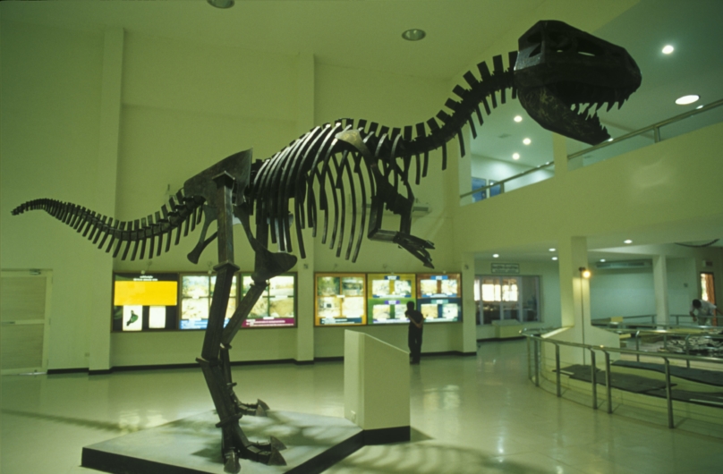 プーウィアン国立公園と恐竜博物館