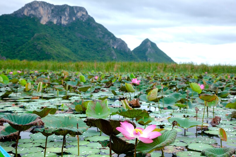 カオ・サムローイ・ヨート国立公園(カオデーン・ビューポイント)