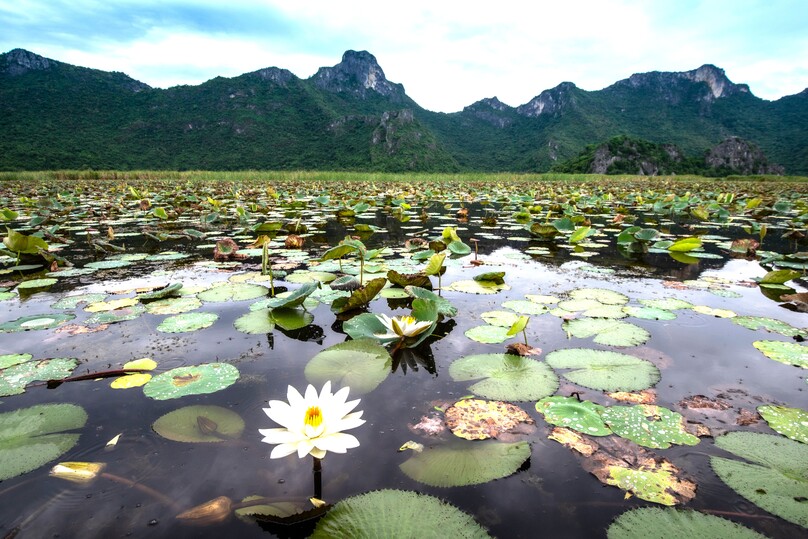 カオ・サムローイ・ヨート国立公園(カオデーン・ビューポイント)