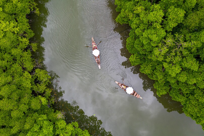 バーン・サラコック