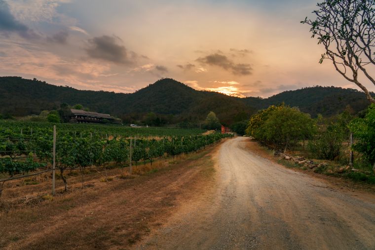 モンスーンバレー・ヴィンヤード