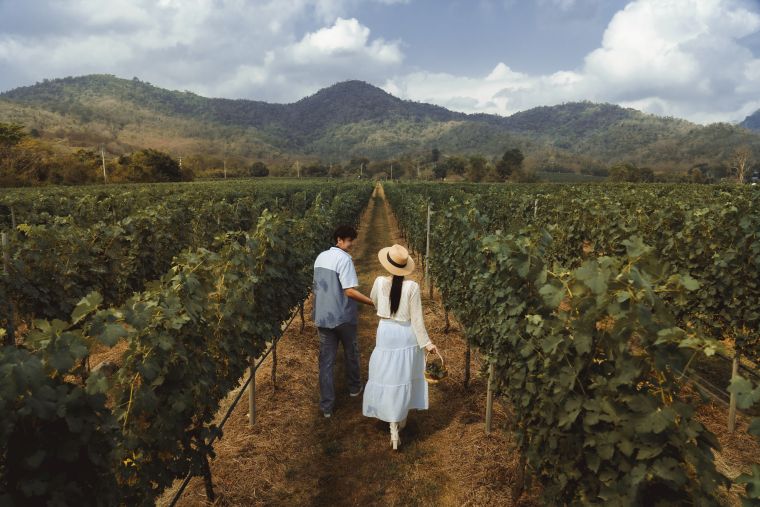 モンスーンバレー・ヴィンヤード