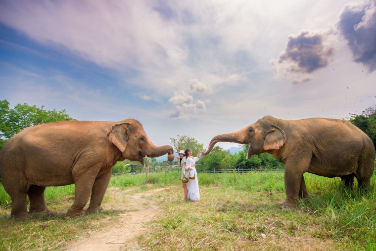 モンスーンバレー・ヴィンヤード