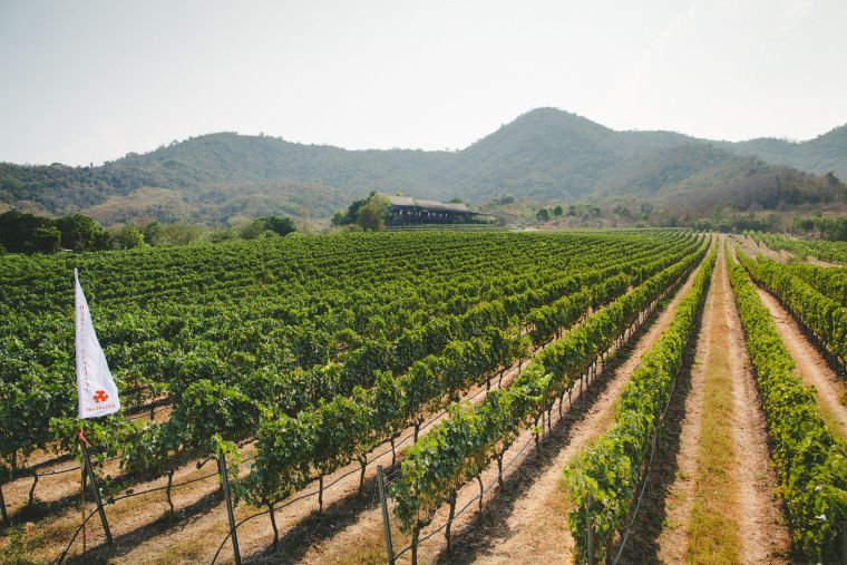 モンスーンバレー・ヴィンヤード