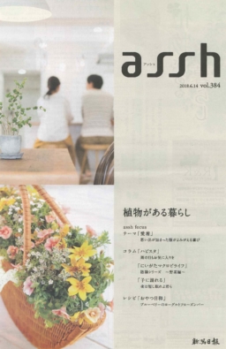 フリーペーパー『assh』「アメージング・タイランド in 新潟 2018」レポート公開