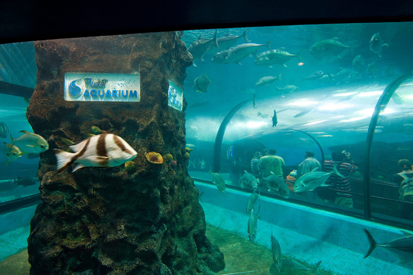 プーケット水族館