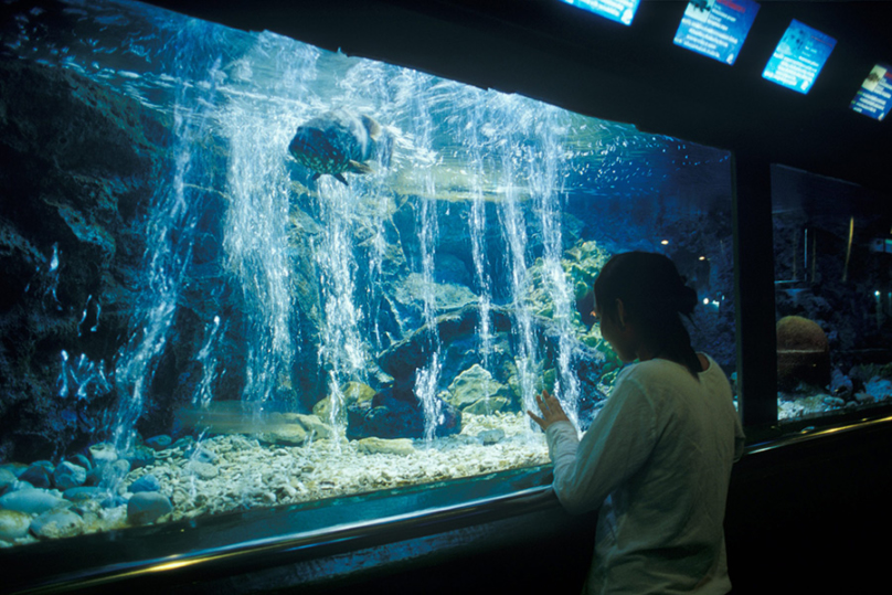 ラヨーン水族館