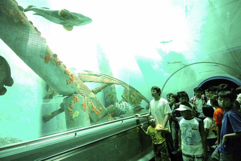 ラヨーン水族館