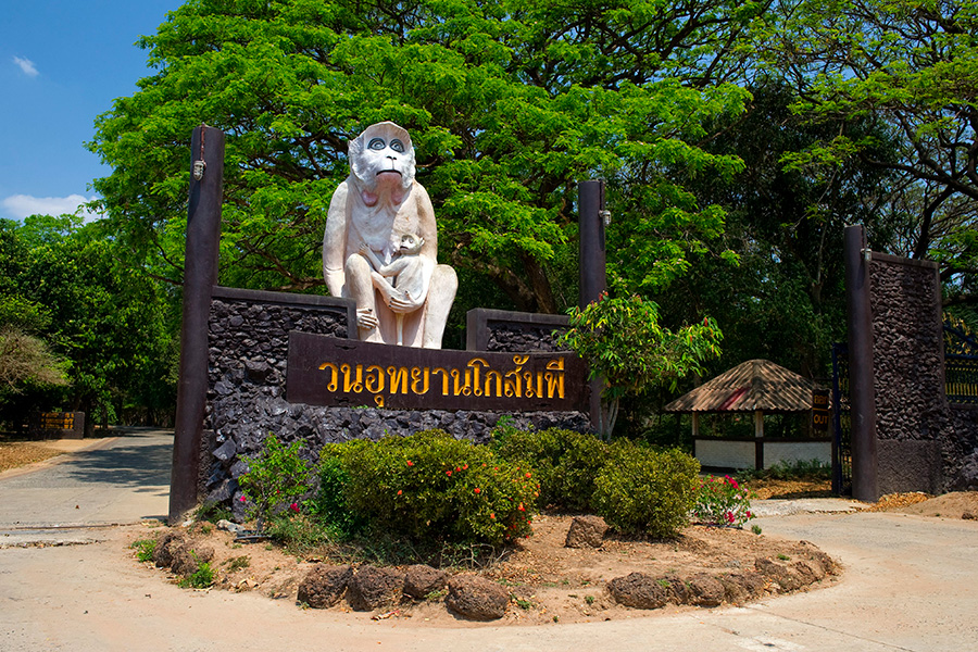 コーサンピ森林公園