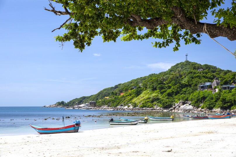 フルムーン・パーティー