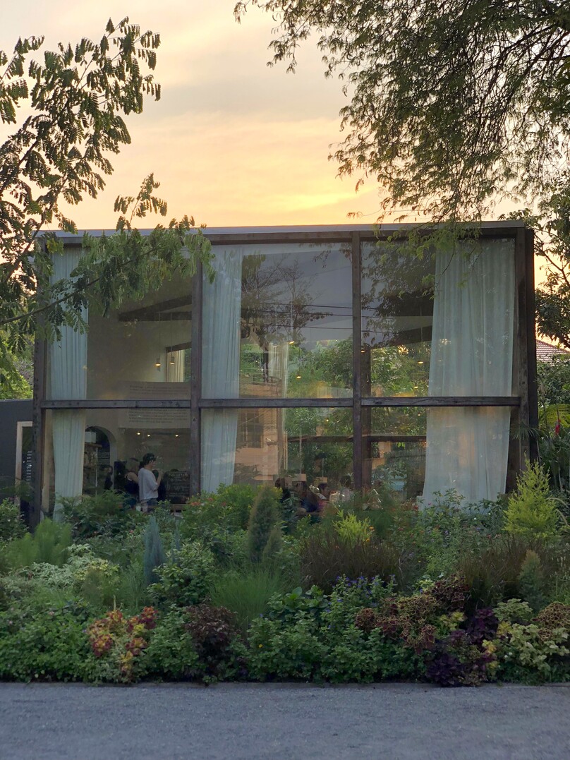 パトム・オーガニック・リビング