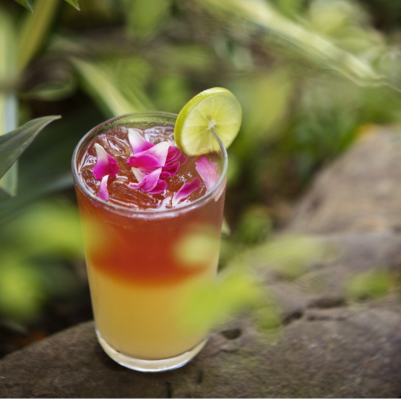 パトム・オーガニック・リビング