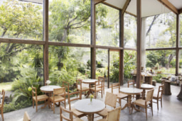 パトム・オーガニック・リビング