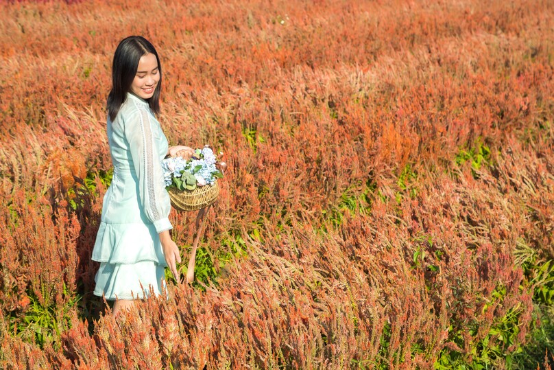 アイ・ラブ・フラワー・ファーム