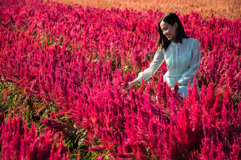 アイ・ラブ・フラワー・ファーム