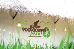 エレファント・プープーペーパー・パーク