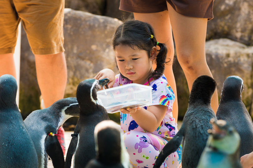 カオキアオ動物園