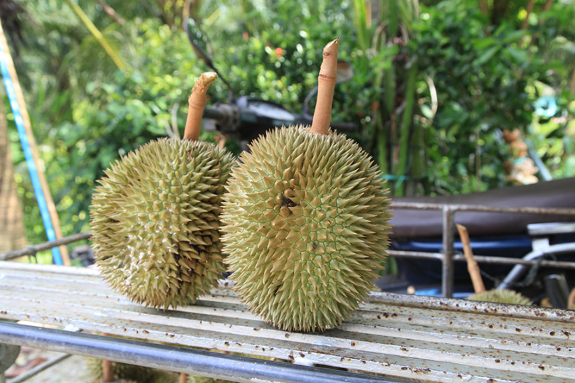 日本でも食べられるタイのフルーツ9種