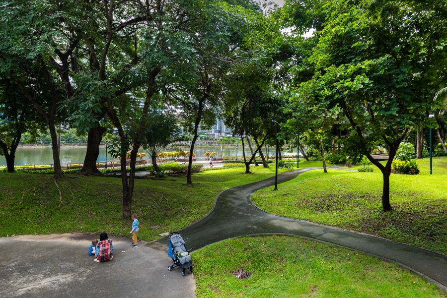 ベンチャキティ森林公園