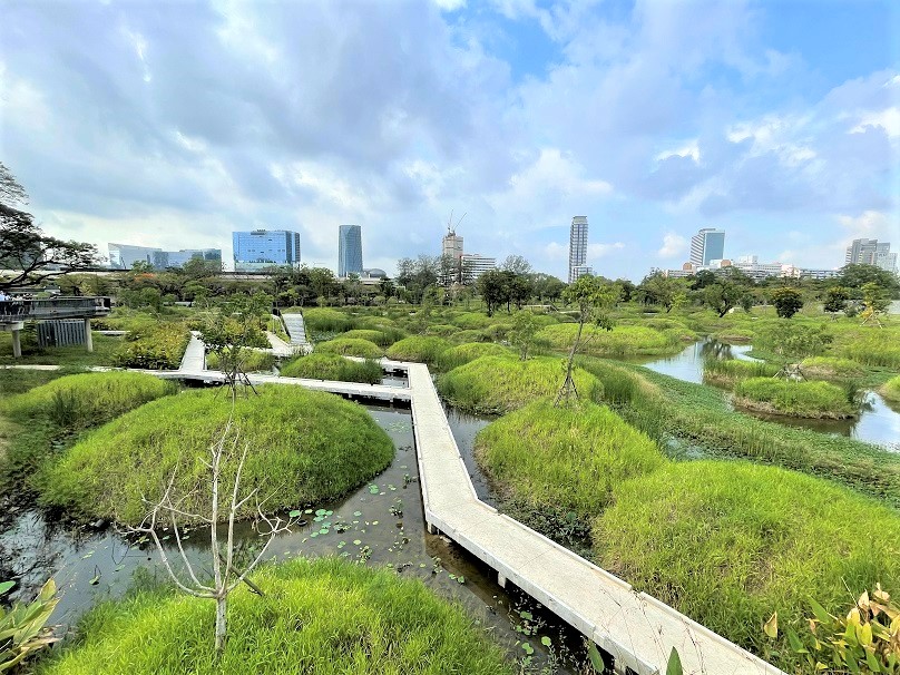 ベンチャキティ森林公園