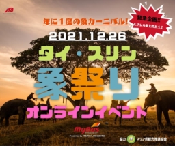 【参加募集】12/26(日) オンラインツアー実施「スリン県 世界最大級の象の祭典～スリンの象祭り～」