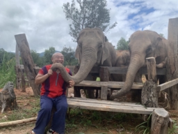【ｸﾗｳﾄﾞﾌｧﾝﾃﾞｨﾝｸﾞ】タイ住みます芸人 あっぱれコイズミさん 象の保護施設を応援するクラウドファンディング開始！