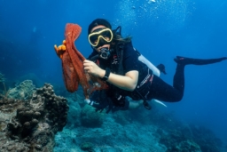 【WEB】「Marine Diving Web」タオ島イベントレポート
