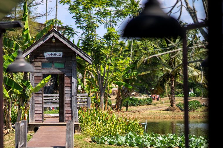 キンラム・キンディー